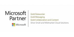 logo ms partner1